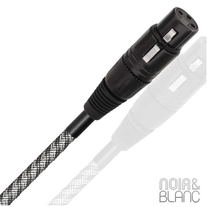 Wireworld Micro Platinum Eclipse 10 Balanced Digital main product photo