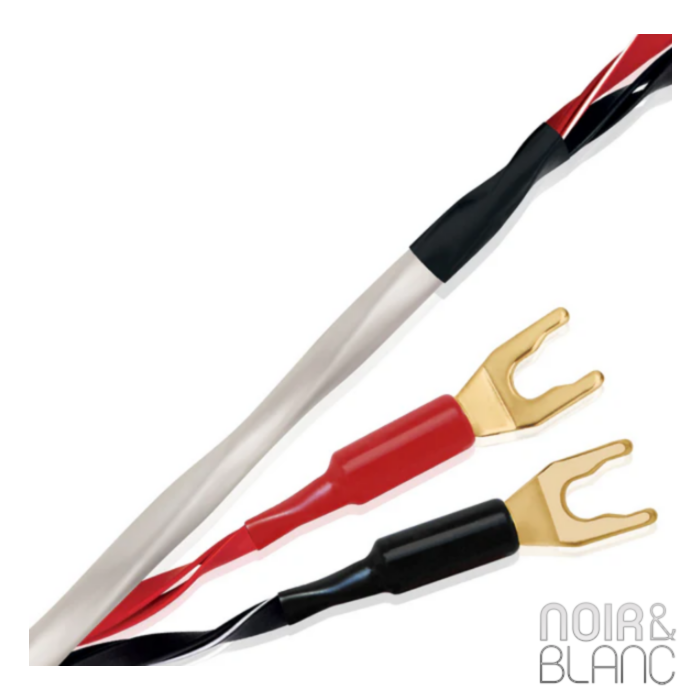 Wireworld Luna 10 Haut-parleurs main product photo