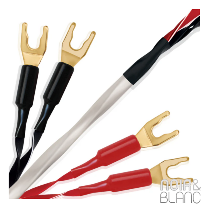 Wireworld Luna 10 Haut-parleurs Biwire main product photo