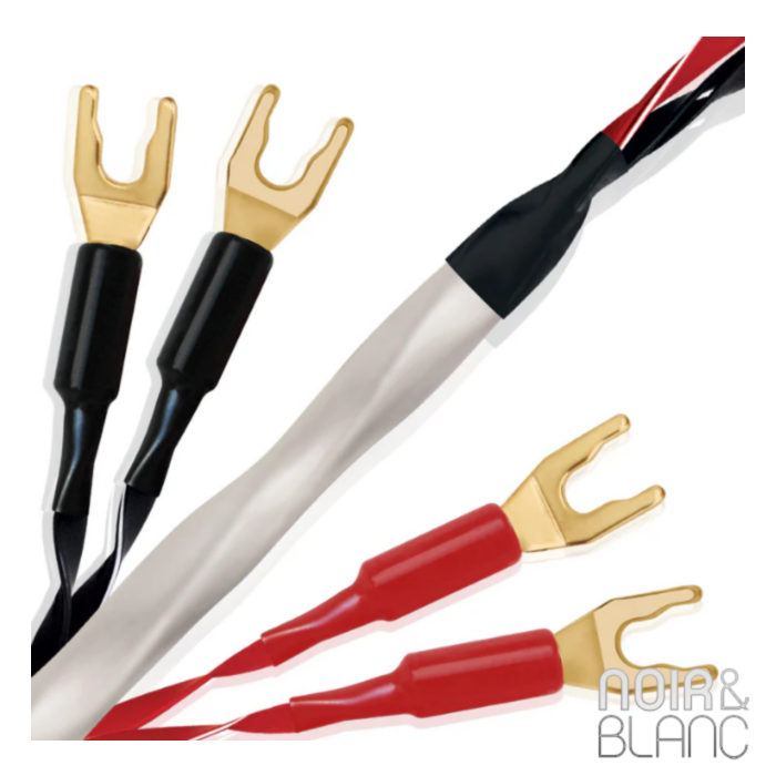 Wireworld Solstice 10 Haut-parleurs Biwire main product photo
