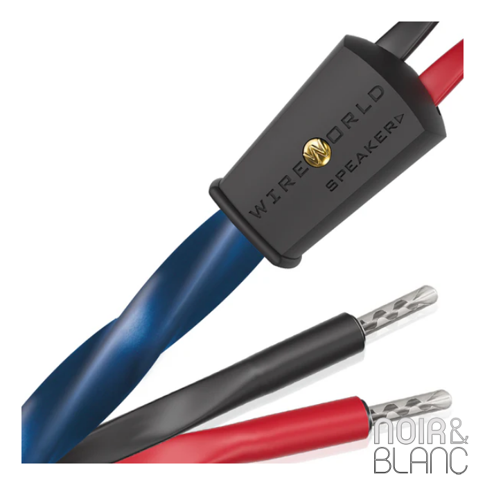 Wireworld Oasis 10 Haut-parleurs main product photo