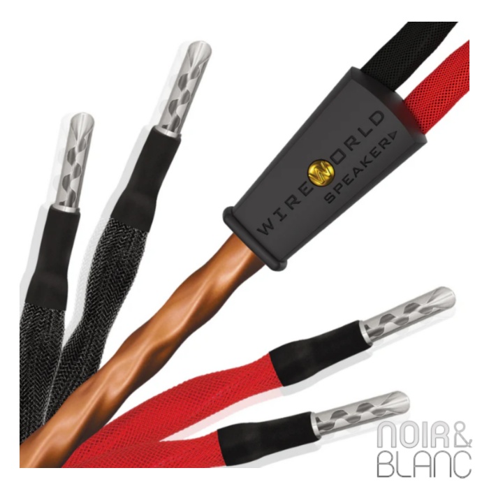 Wireworld Mini Eclipse 10 Haut-Parleurs Biwire main product photo