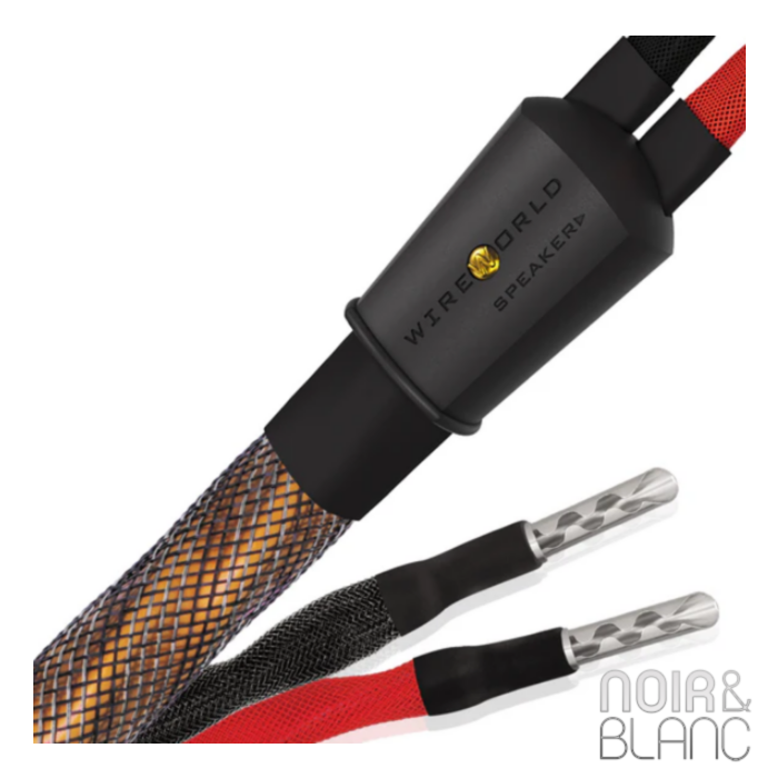 Wireworld Eclipse 10 Haut-Parleurs main product photo