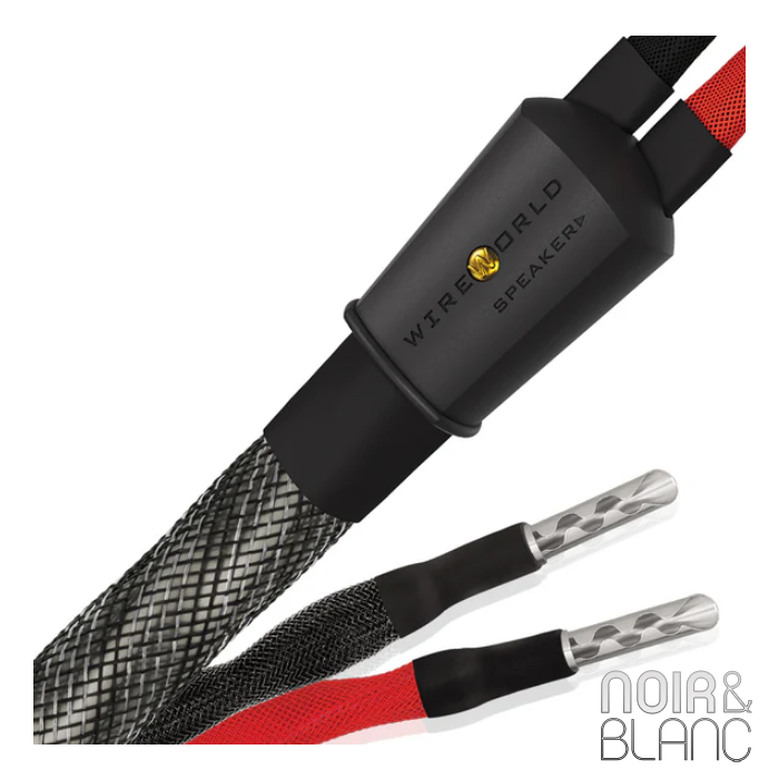 Wireworld Silver Eclipse 10 Haut-Parleurs main product photo