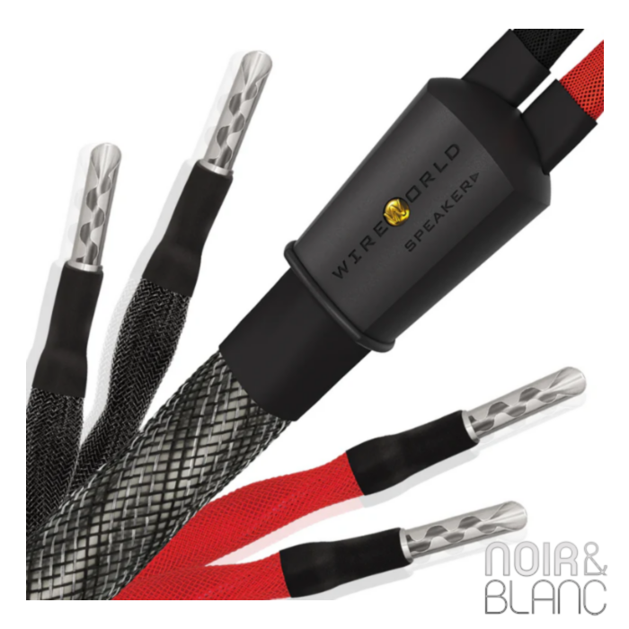 Wireworld Silver Eclipse 10 Haut-Parleurs Biwire main product photo