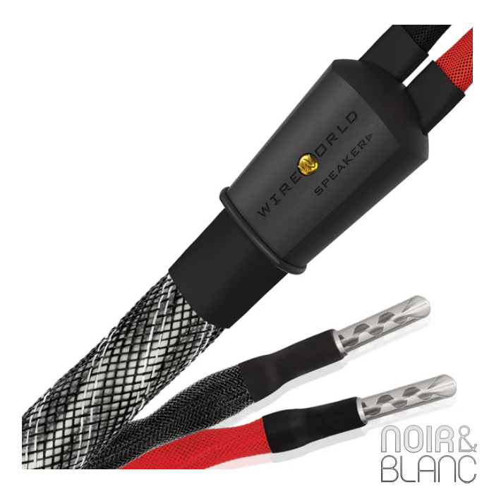 Wireworld Platinum Eclipse 10 Haut-parleurs main product photo