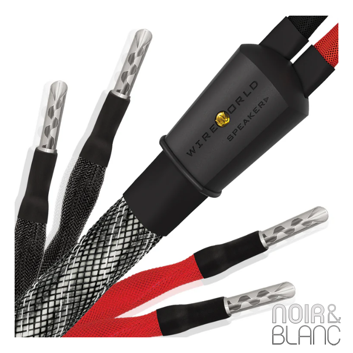 Wireworld Platinum Eclipse 10 Haut-parleurs Biwire main product photo