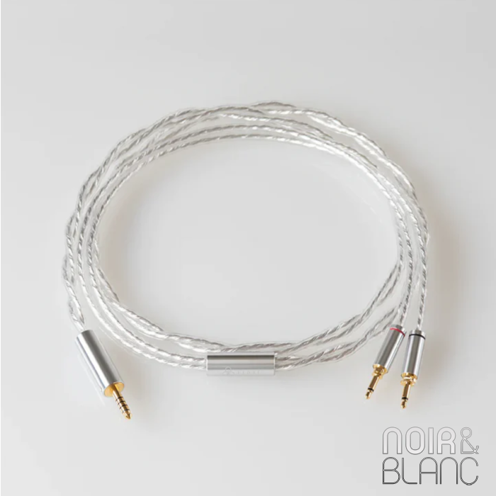 Final D8000 4,4mm Silver Coated Cable main product photo