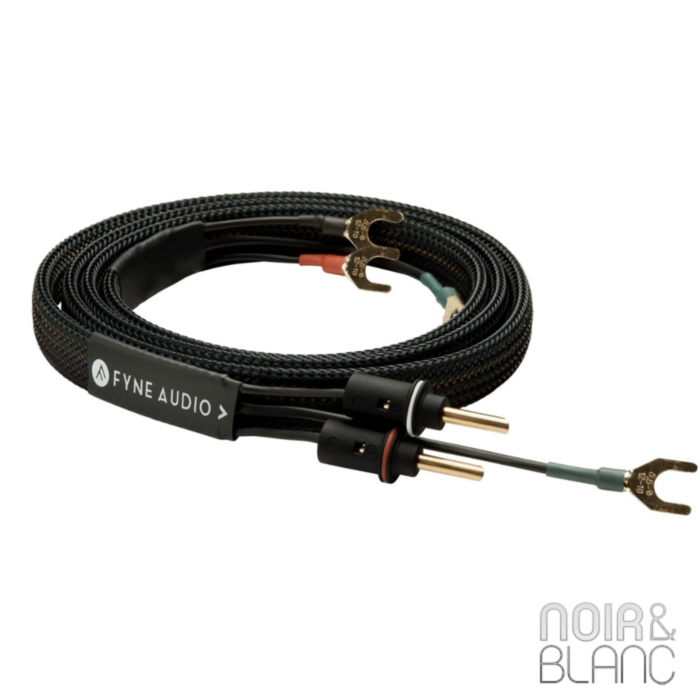 Fyne Audio SC1 main product photo