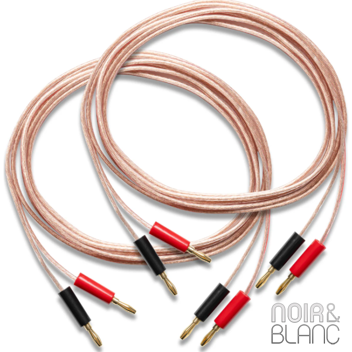 Pro-Ject Connect it LS E Flex main product photo