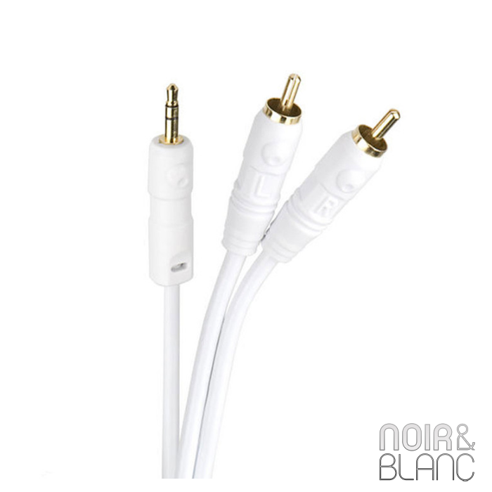 Cambridge Audio Audio 100 RCA - 3.5mm main product photo