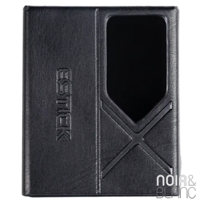 Fiio SK-EStick + KA17 main product photo