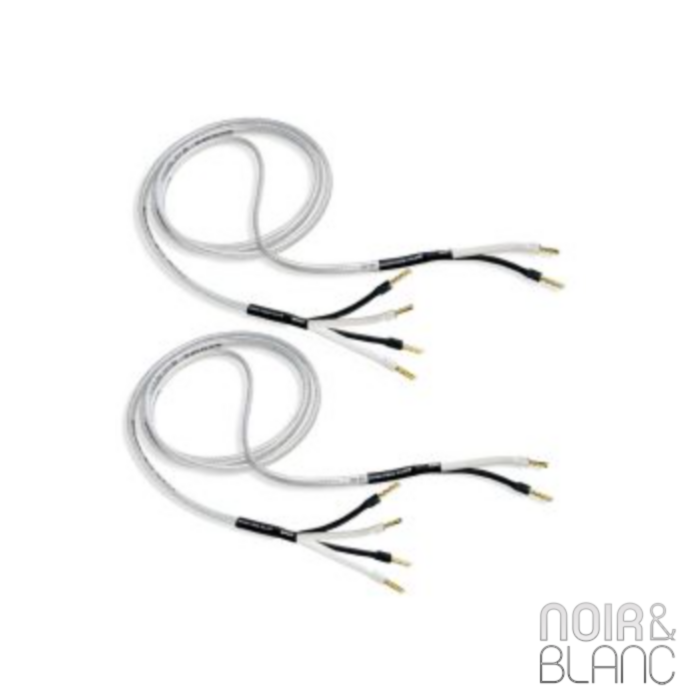 Analysis Plus Bi- Big Silver Oval main product photo