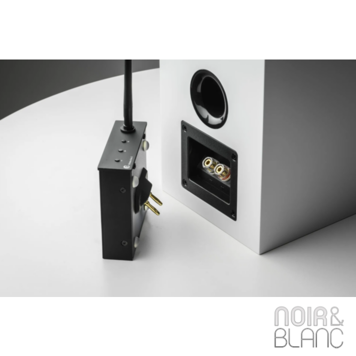 Pro-Ject Wireless Box E main product photo