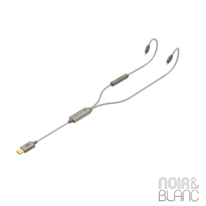 iFi Audio GO Cable main product photo
