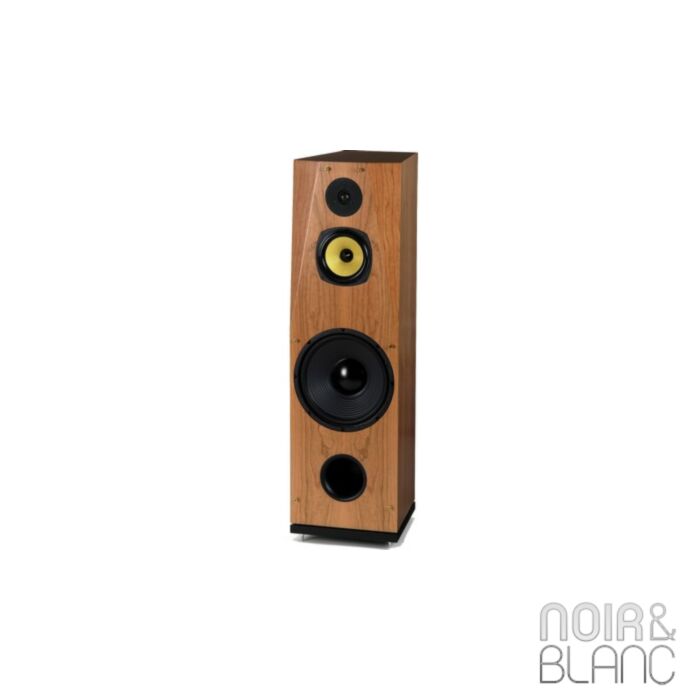 Davis Acoustics Cesar main product photo