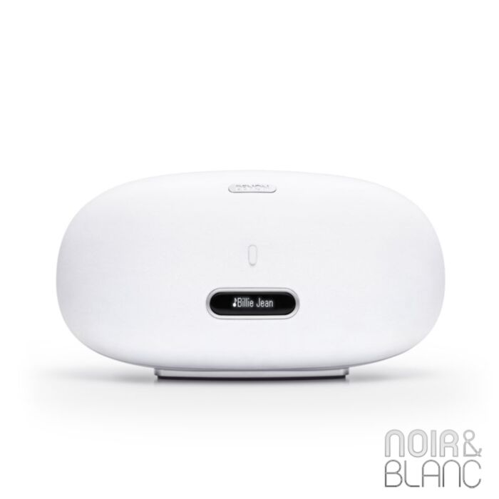 Denon DSD 501 Cocoon Home main product photo