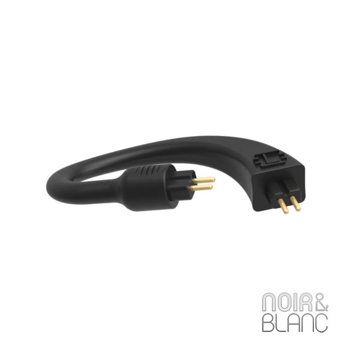 iFi Audio Go Pod Ear Loop main product photo