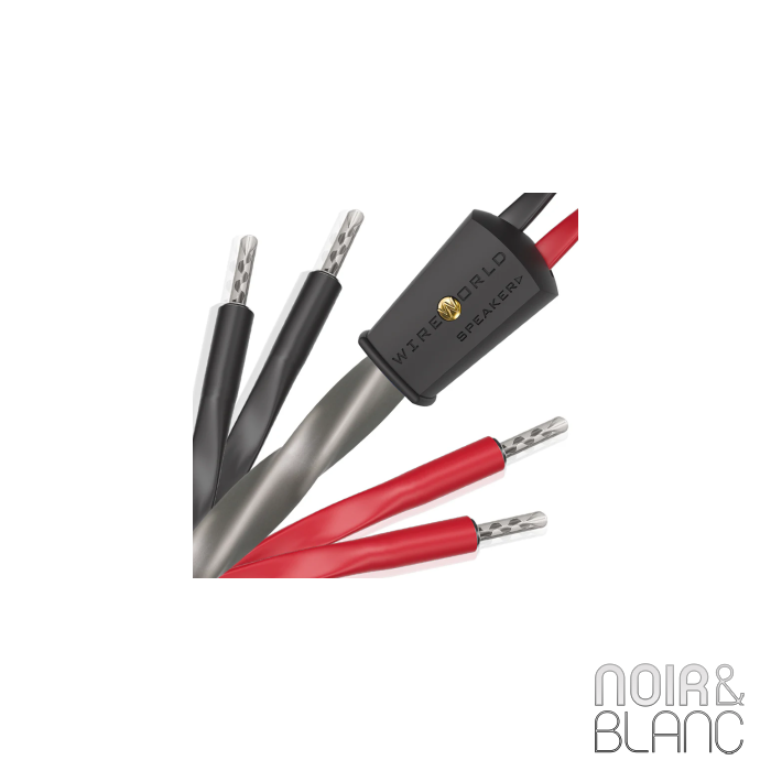 Wireworld Equinox 10 Haut-parleurs Biwire main product photo