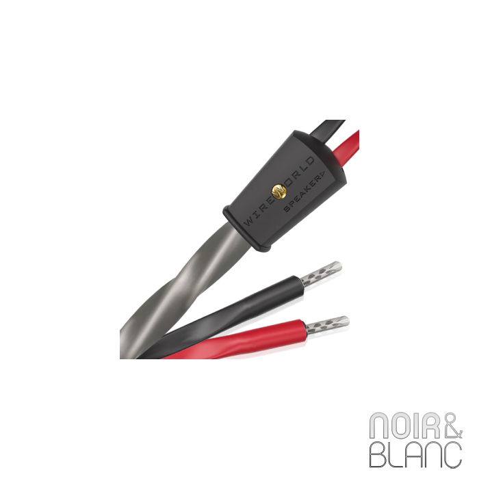 Wireworld Equinox 10 Haut-parleurs main product photo