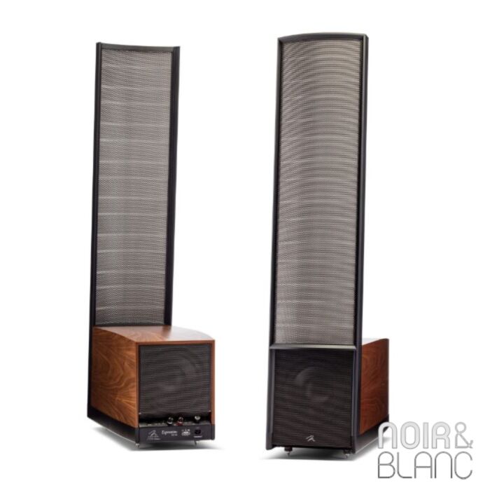 Martin Logan Expression ESL 13A main product photo