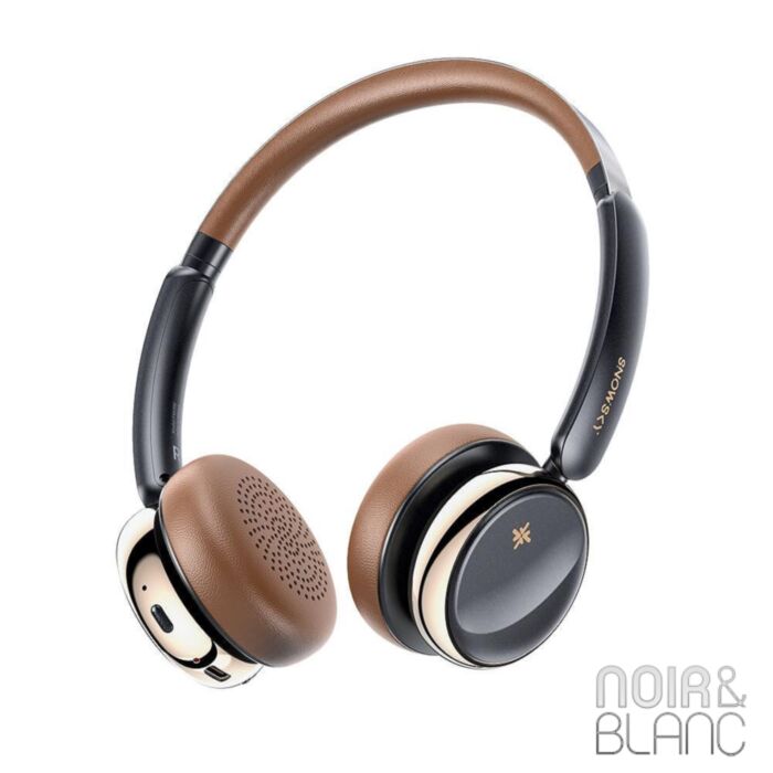 Fiio Snowsky Anytime main product photo