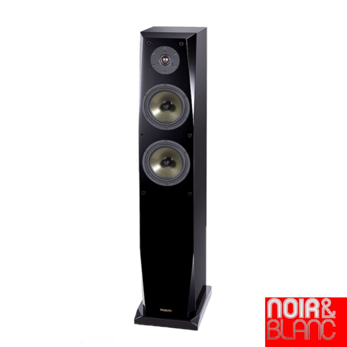 Focus Audio FP-88SE main product photo