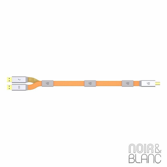 iFi Audio Gemini 3.0 Dual Headed USB cable main product photo