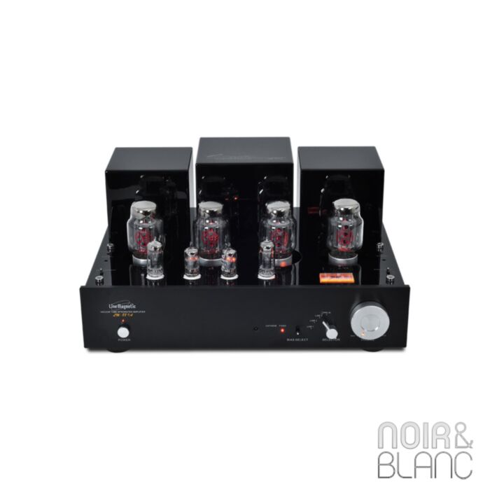 Line Magnetic LM-88IA main product photo