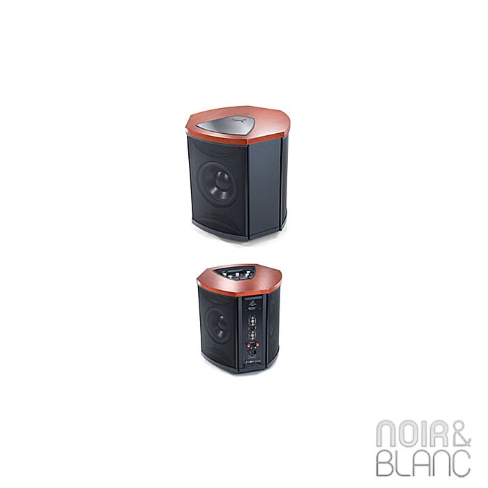 Martin Logan Descent i main product photo