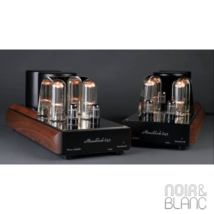 Mastersound Final 845 Mono main product photo