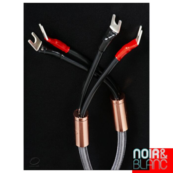 Organic Audio Câble d'enceintes main product photo