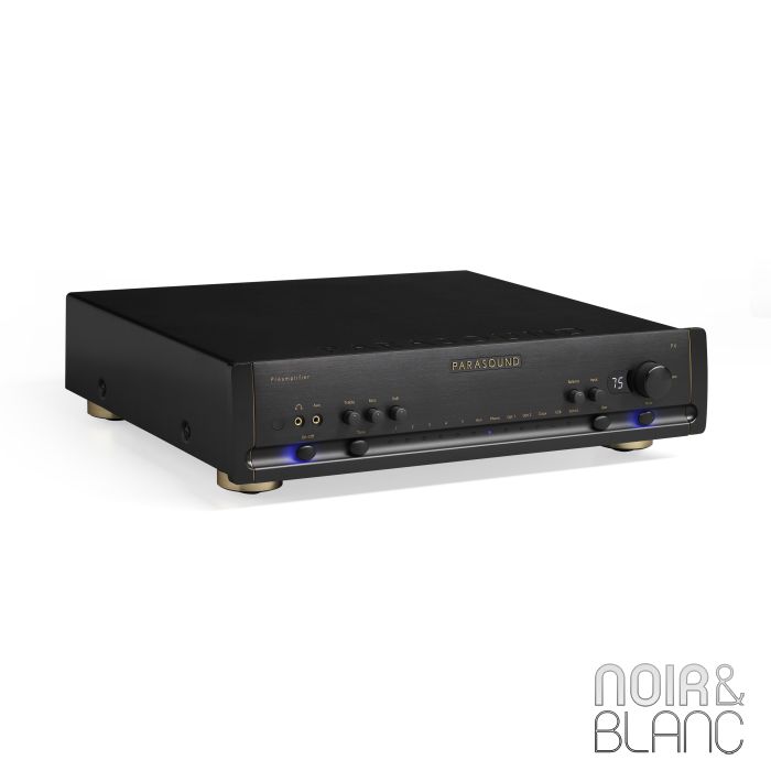Parasound P 6 Preamplifier & DAC main product photo