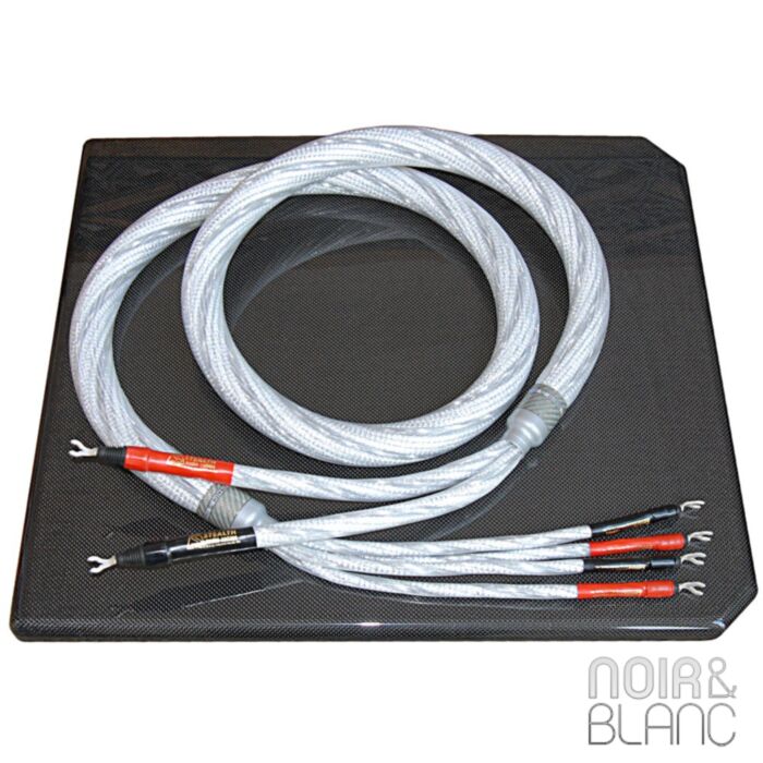 Stealth Audio Cables Dream V10 Haut-parleurs main product photo