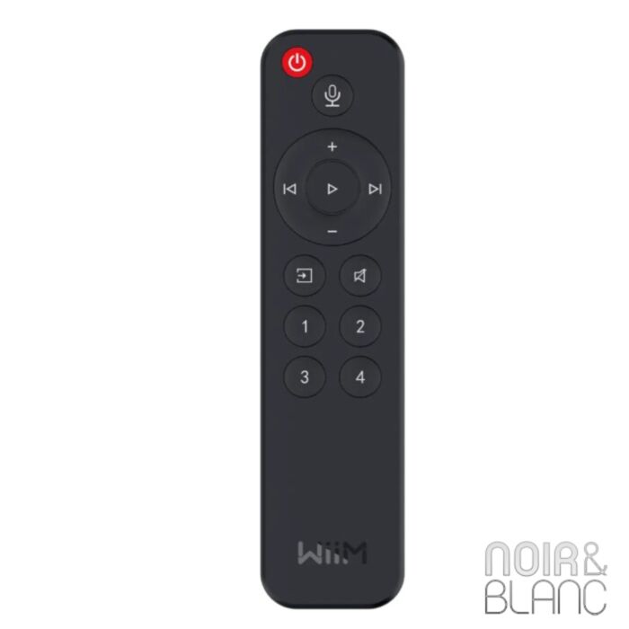 Wiim Voice Remote main product photo