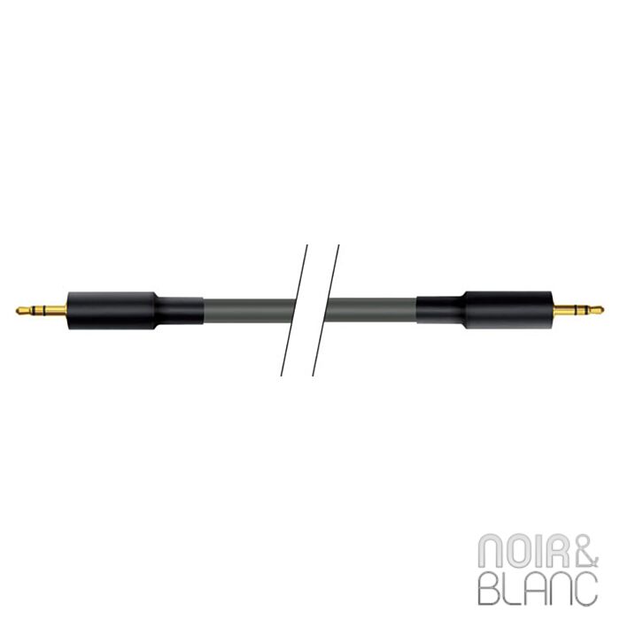 Wireworld Equinox 6 Mini jack vers mini jack main product photo