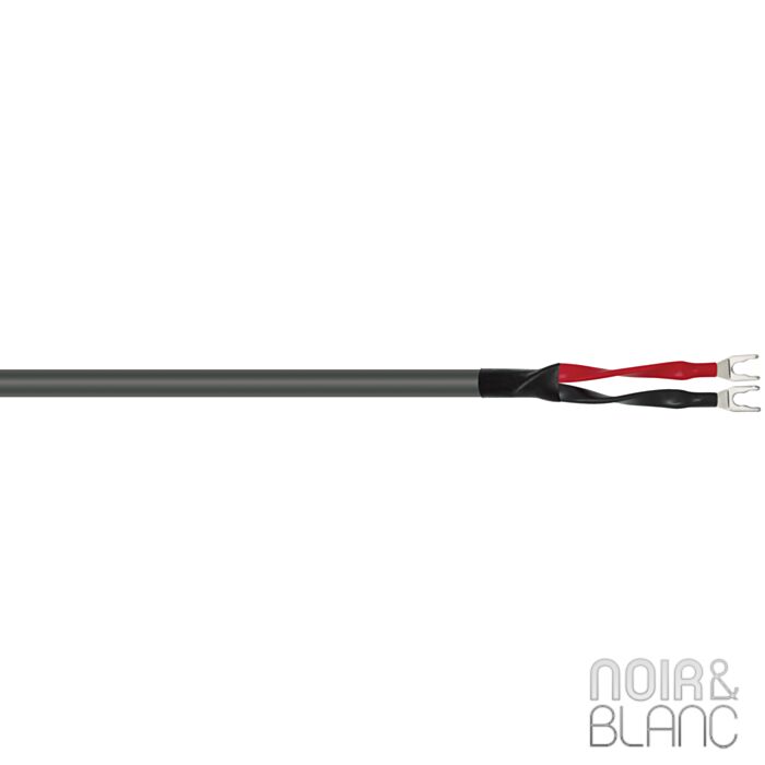 Wireworld Equinox 6 Haut-parleurs main product photo