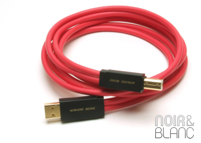 Acoustic Revive　R-AU1-PL 1m Câble USB Acoustic Revive USB R AU1 PL | Noir et Blanc