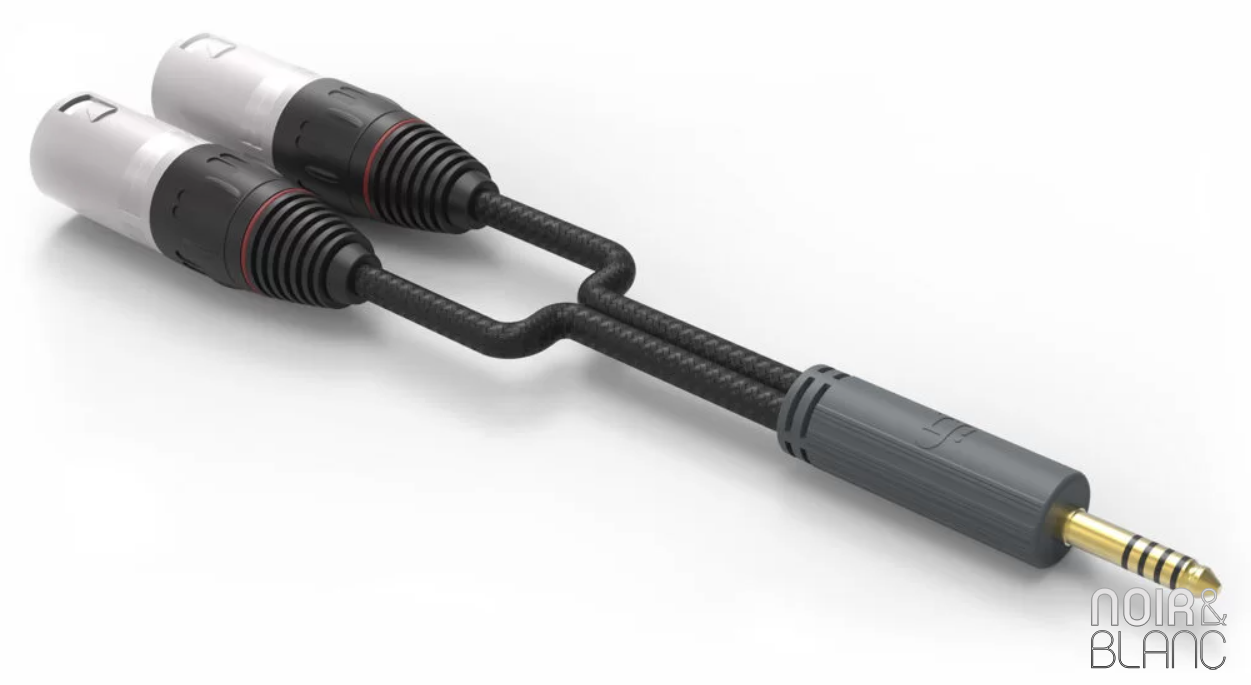 Câble audio iFi Audio 4.4 mm-XLR Cable SE | Noir et Blanc