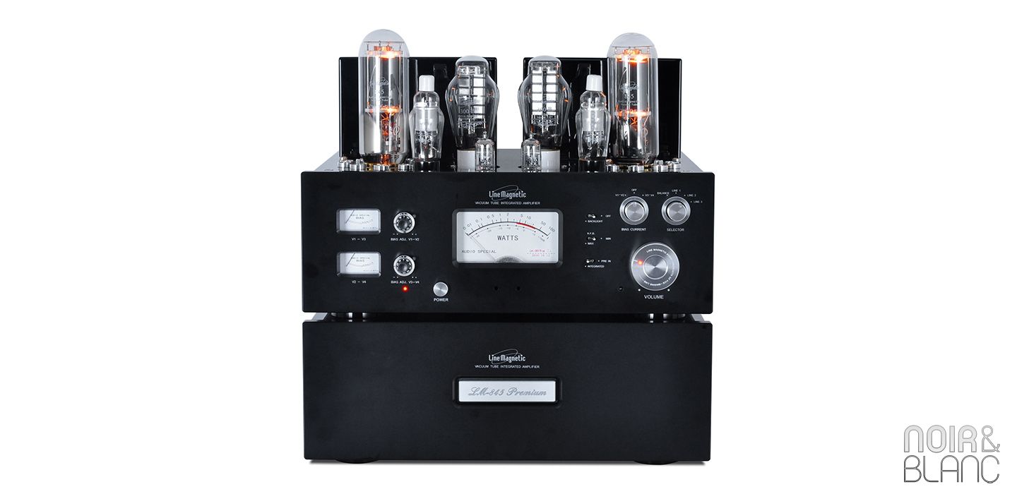 LINLAI E-845 E845 Elite Tube à vide mise à niveau 845 WE845