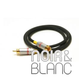 Acoustic Revive digital 1.0R tripleC FM RCA