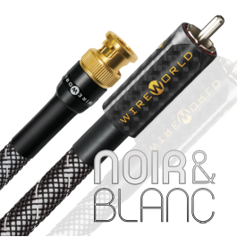 Câble digital Wireworld Platinum Starlight 10 Coaxial