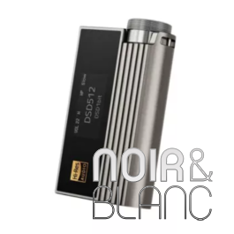 ★美品5点セット★fiio M21➕iBasso Audio Nunchaku Ampli casque iBasso Nunchaku | Noir et Blanc