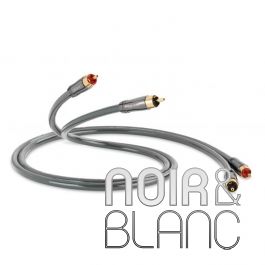 Câble RCA QED Performance Audio 40i | Noir et Blanc
