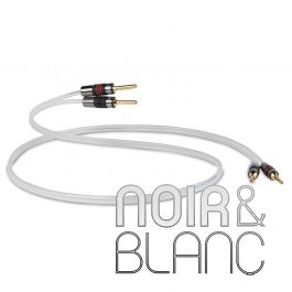 【NMHM☆】QED Silver Anniversary XT 4m QED Silver Anniversary XT Speaker Cables