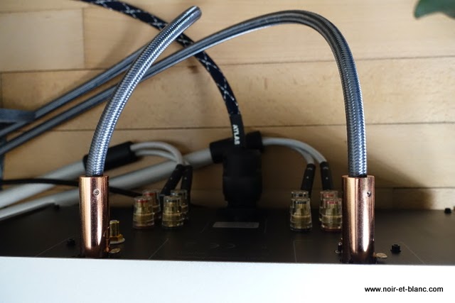 Organic Audio chez Noir et Blanc