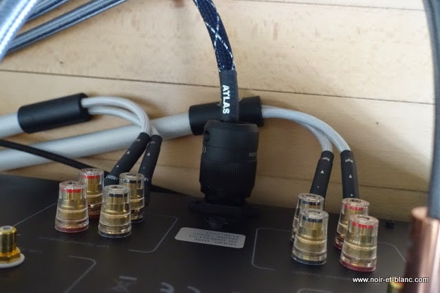 Argento Audio Serenity Signature chez Noir et Blanc