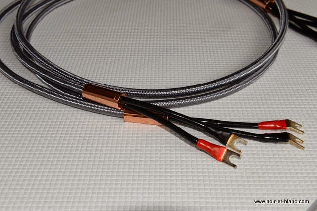Organic Audio chez Noir et Blanc