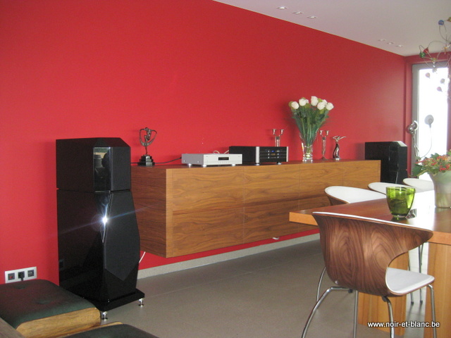 Focus Audio Master 2.5 + Coda Technologies CSib + CEC TL-51XR
