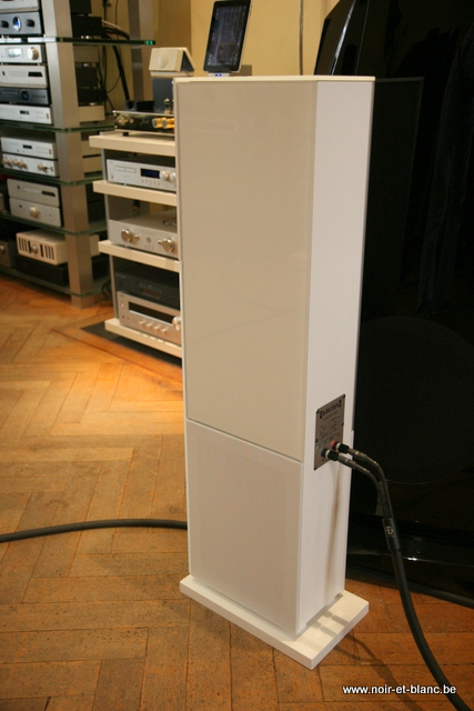 Audio Physic Classic 20 (vue de dos)
